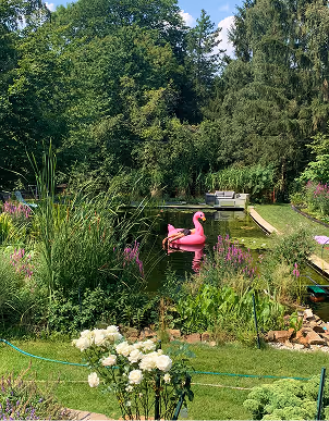 Garten mit einem kleinen Teich, einer aufblasbaren rosa Flamingo-Schwimminsel und üppigem grünem Bewuchs.