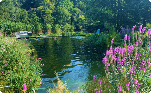 Natürlicher Teich umgeben von grünem Laub und violetten Wildblumen, mit einer gepolsterten Sitzbank am Ufer.